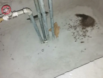 包河卫生间测漏水价格明细